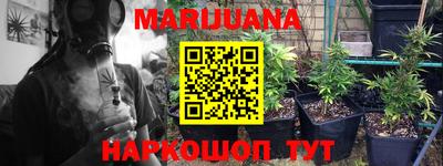 PSILOCYBIN Кулебаки