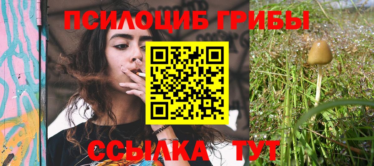 как найти наркотики  Галлюциногенные грибы Magic Shrooms  Псилоцибиновые грибы Psilocybine cubensis  Вход с VPN  Ялта 